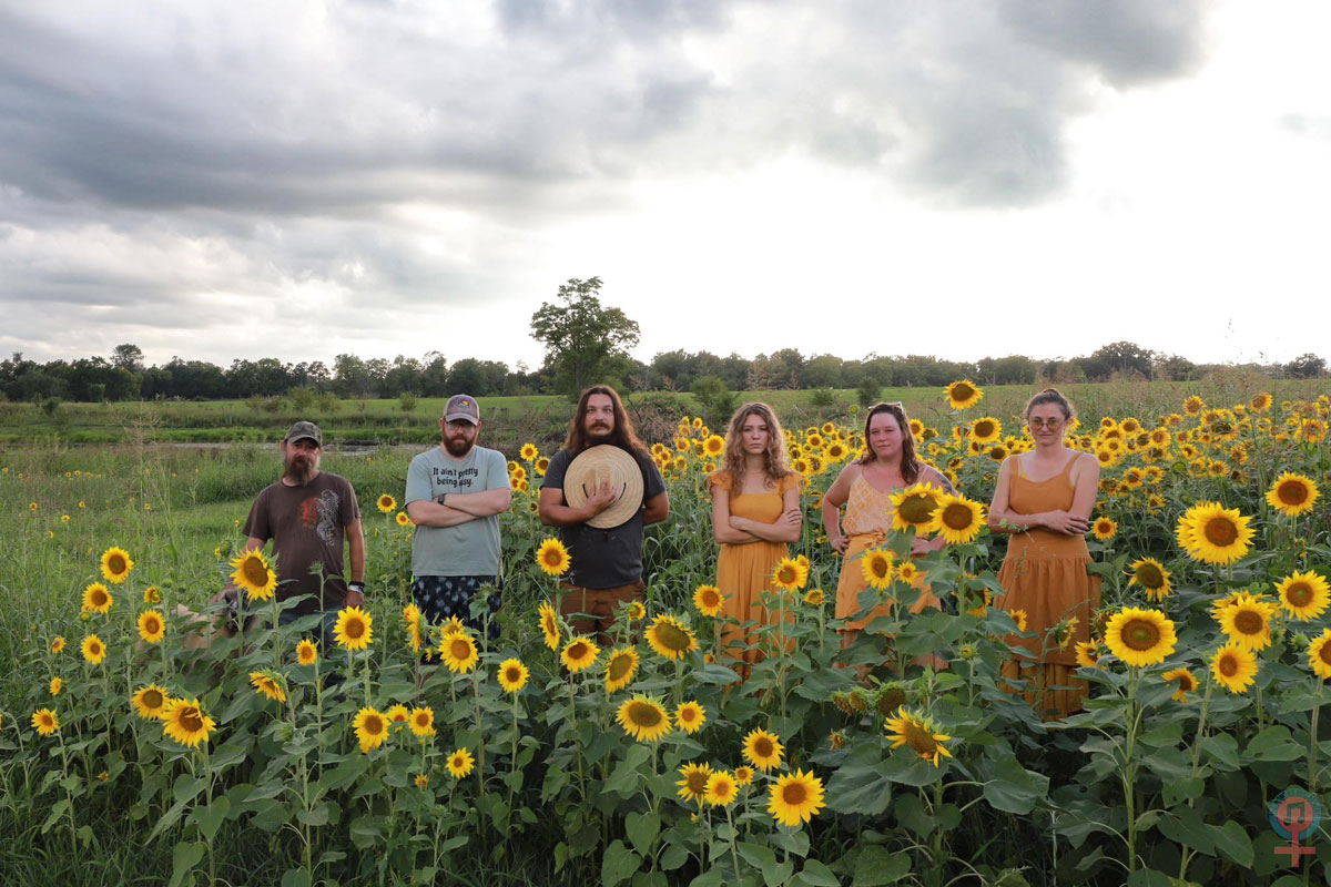 band photo in sunflower field